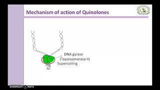 Quinolones Mechanism of action [upl. by Delly]