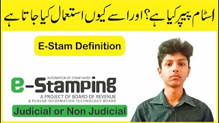 EStamp Paper Definition judicial amp Non Judicial in Pakistan EStamping Punjab [upl. by Airotahs]