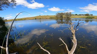 COD FISHING NSW  Welcome to Country  part 2 [upl. by Annaiek]