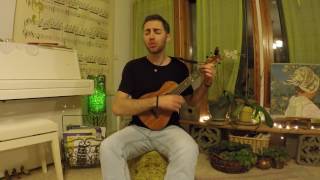 Bloom  The Paper Kites  Ukulele Cover By Roy Ungar [upl. by Kokaras879]