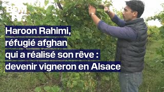 Haroon Rahimi le réfugié afghan qui a réalisé son rêve  devenir vigneron en Alsace [upl. by Notsew]