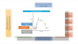 Antiarrhythmic drugs agents  Chapter 2 Tachyarrhythmias Made Easy [upl. by Phene277]