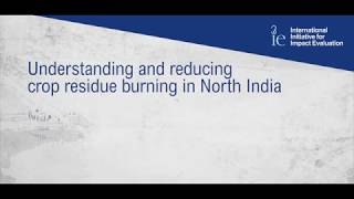 Understanding and reducing crop residue burning in North India using RANAS approach  Max Freidrich [upl. by Glavin367]