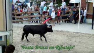 Alcochete Festas do Barrete Verde e das Salinas 2010 Largada de Toiros no dia 11 Agosto [upl. by Samp]