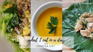 WHAT I EAT IN A DAY 2  CANDIDA DIET [upl. by Jorin364]