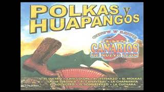 Los Canarios de Nuevo Leon  POLKAS Y HUAPANGOS Album Completo [upl. by Arehahs813]