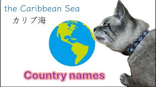 Quiz How to read the country names in Japanese Learn Japanese with Toby the Caribbean Sea カリブ海 [upl. by Finella]