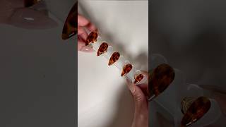 Tortoise shell press on nail set for Fall 🍁naildesign nails pressonails nailtutorial [upl. by Tail584]