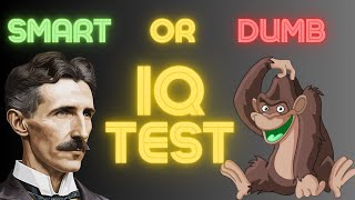 What is your IQ The Most Accurate and Free IQ Test [upl. by Yzeerb]