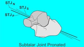 Subtalar Joint Axis Spatial Location Changes with Subtalar Joint Rotational Motions [upl. by Anaihk]