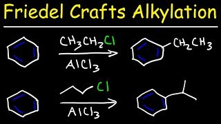 Friedel Crafts Alkylation of Benzene Reaction Mechanism  Tons of Examples [upl. by Adnauqahs]