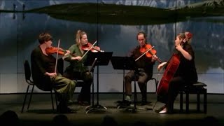 KARSKI QUARTET “The Disappearance of Lisa Gherardini” [upl. by Vikky169]