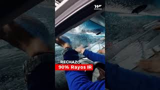 Conoce nuestra NUEVA lámina camaleón  Window Films [upl. by Twyla560]