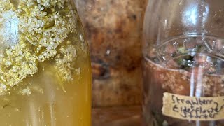 Elderflower Cordial Recipe 2024 [upl. by Eartha]