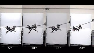 Perching and Grasping Using a Passive Dynamic Bioinspired Gripper [upl. by Petersen]