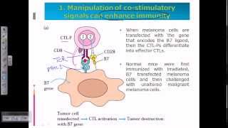 Cancer immunotherapy [upl. by Hachman]