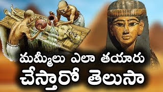 మమ్మీలు ఎలా తయారు చేస్తారో తెలుసా  Shocking Facts about Mummies  T Talks [upl. by Ward]