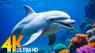 El Océano 4K UltraHD  Película de Relajación  Música Relajante y Pacífica  Video 4K UltraHD [upl. by Hubey]