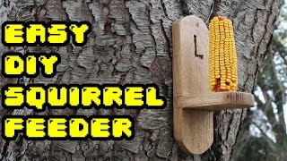 Gettin Squirrely  Easy DIY Squirrel Feeder [upl. by Nohsreg]