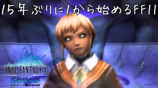 目が光ってますよ！？FF11 石の見る夢編 3  残響を打ち消す者 [upl. by Betty]