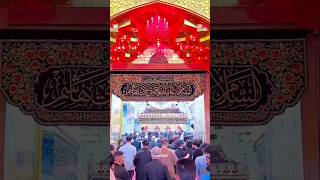 mola abbbas noha New short video Karbala viralvideo shorts 2024 [upl. by Sherris882]