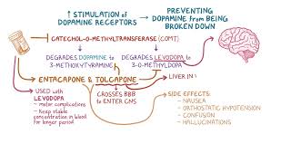 AntiParkinsonism drugs  CNS ANS Pharmacology 💊 OSMOSIS  PARKINSONS DISEASE TREATMENT [upl. by Dhu]