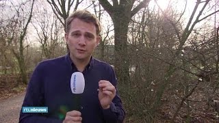 Warme december brengt de natuur in de war  RTL NIEUWS [upl. by Anima]