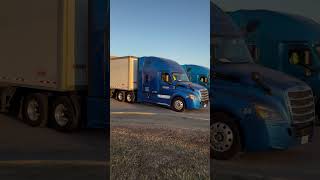 freightliner cascadia californiausa usa canada viralvideo pb08wale 🇺🇸✈️🇨🇦 [upl. by Burrow576]