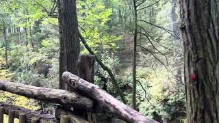 Bushkill Falls Steps [upl. by Ibib868]