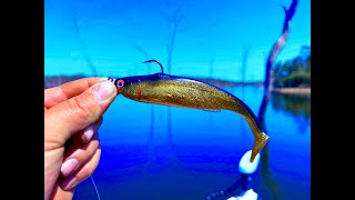 Lake Monduran fishing Chasing BIG BARRA [upl. by Airol489]