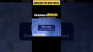 Full Process of Meiosis  Cell and Division meiosisshortbiologyshortbiologyanimation [upl. by Enirok157]