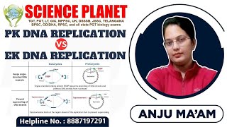 PROKARYOTIC amp EUKARYOTIC DNA REPLICATION II DIFFERENCE II BY ANJU MAM [upl. by Inilam]