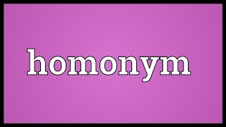 Homonym Meaning [upl. by Hootman972]