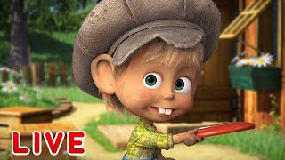 🔴 LIVE Mascha und der Bär 🤔❓ Wer bin ich 🤔❓Zeichentrickfilme für Kinder [upl. by Helve926]