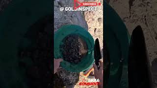 💰Panning Lessons For Gold Prospector goldpanning goldrush [upl. by Yenatirb]