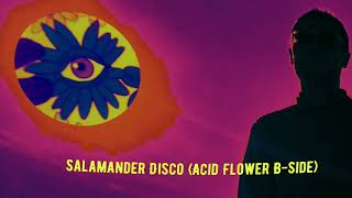 ‘Salamander Disco’ Acid Flower Bside [upl. by Collete]