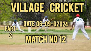 Best shot best tape ball hitting players best tape ball bowlers in village cricket live matches [upl. by Reldnahc]