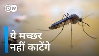 मच्छरों की डीएनए बदलने में जुटे वैज्ञानिक Wiping out mosquitoes to fight malaria [upl. by Iline39]