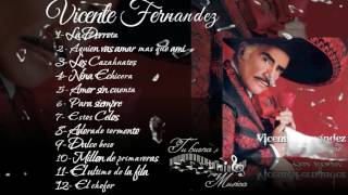 Vicente Fernandez Album para siempre [upl. by Otxis3]