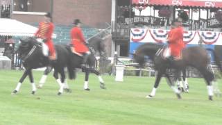 Celle Stallions  Spruce Meadows  2012 [upl. by Norrie643]