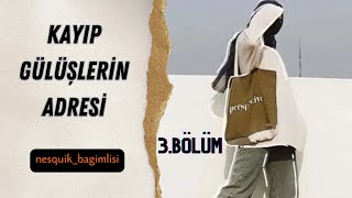 Kayıp Gülüşlerin Adresi 3Bölüm [upl. by Anuqahs569]