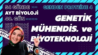 40 Genetik Mühendisliği ve Biyoteknoloji  Genden Proteine  12 Sınıf  2024 AYT Biyoloji 40 Gün [upl. by Weed]