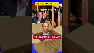 EL PERRO EN CASA Y EL DUEÑO EN CAJA [upl. by Luiza]