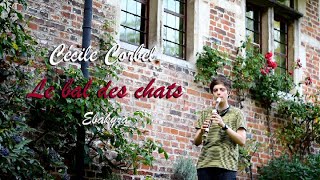 Cécile Corbel  Le bal des chats recorder cover with notes [upl. by Bax65]