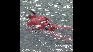 Pompiers de Paris  un plongeur à la Seine [upl. by Frodeen936]