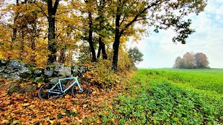 Autumn Gravel Ride  Specialized Diverge Carbon Expert 27102024 [upl. by Hayilaa378]