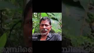 mangalamkunnu karnan mass videoðŸ’¥âš¡ðŸ”¥ðŸ”¥ [upl. by Negam]