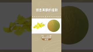 Ginkgo Biloba Flavonoid Extract [upl. by Tatiania]