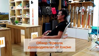 Обзор кресла руководителя Xiaomi Mijia Ergonomics Chair Silver [upl. by Pubilis]