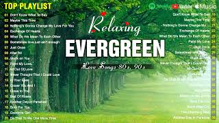 Timeless Evergreen Relaxing Beautiful Love Songs 70s 80s 90s 💖💕 Best Love Songs of Cruisin Lyrics [upl. by Hardie590]